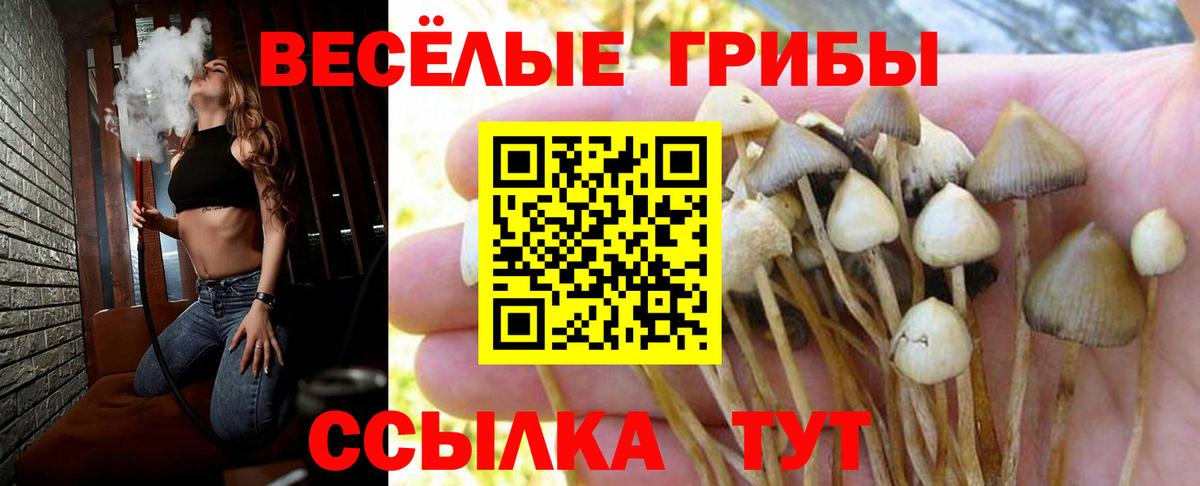 Малоярославец  Галлюциногенные грибы ЛСД  где найти наркотики  Вход с VPN 
