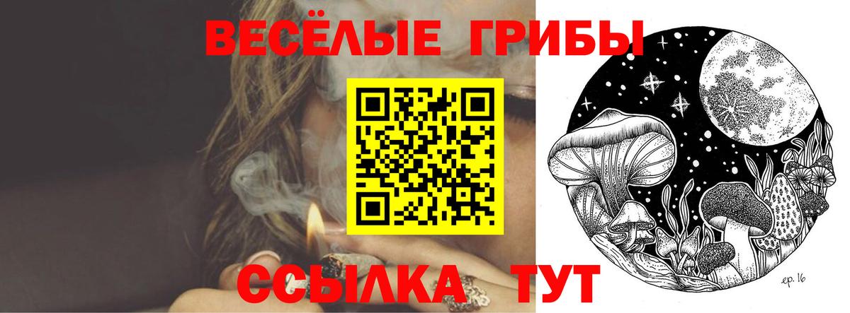 Псилоцибиновые грибы Psilocybe Малоярославец